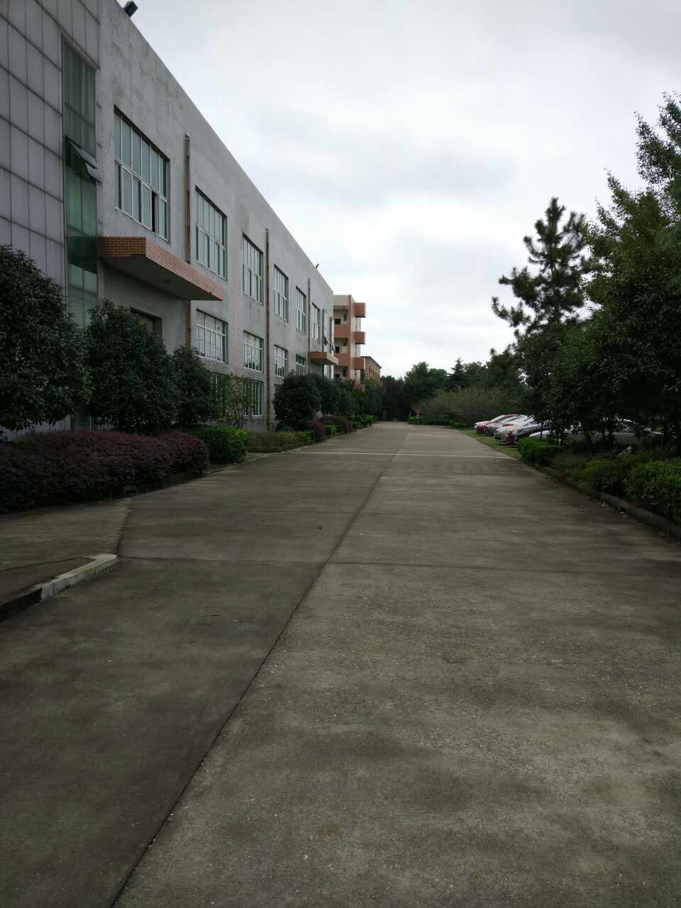 出售太平聚金路金瑞路厂房8000方