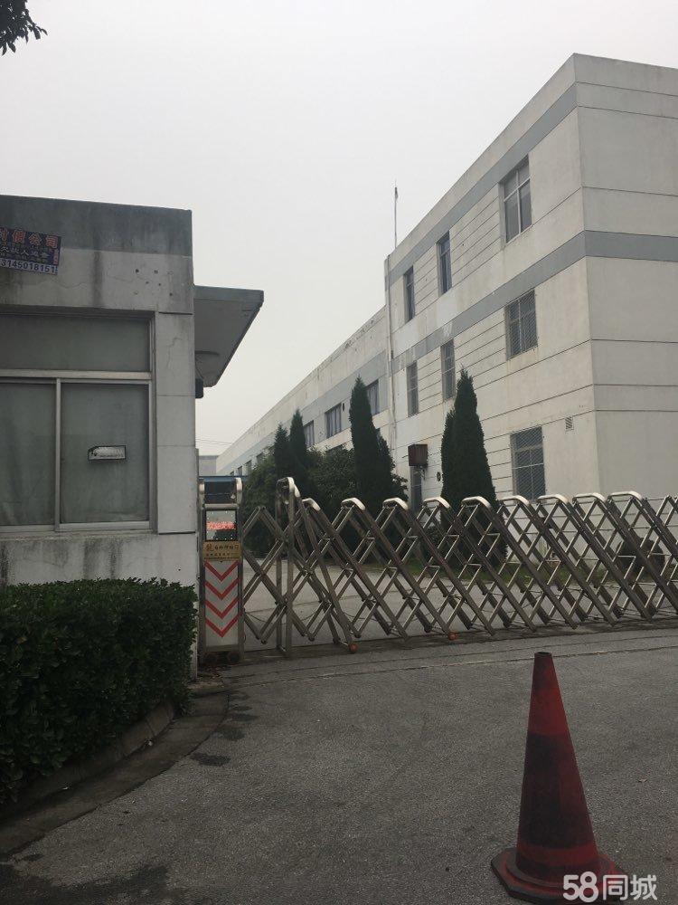 出租高新区浒墅关厂房双层