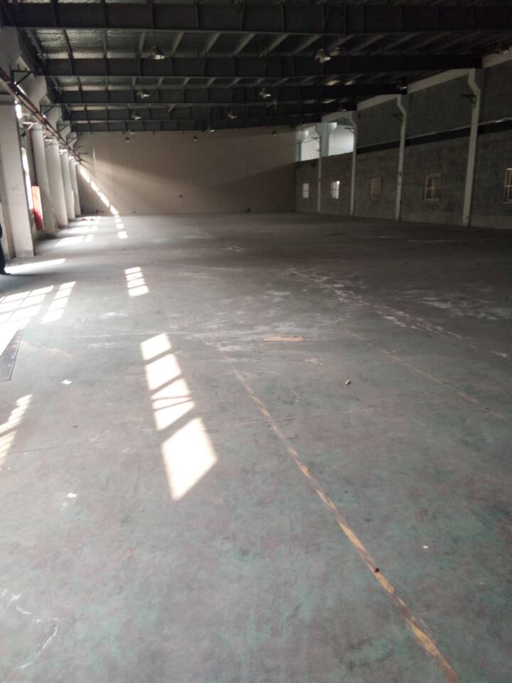 新区枫桥，1200平标准厂房，干净行业优先，层高6米，环氧地坪