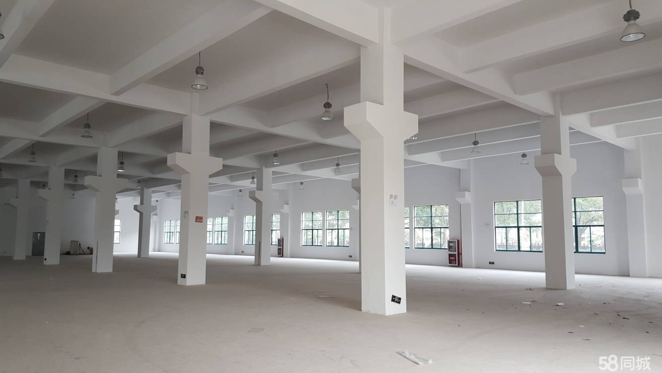 新区建林路，标准厂房出租，二三楼可分租！形象好！