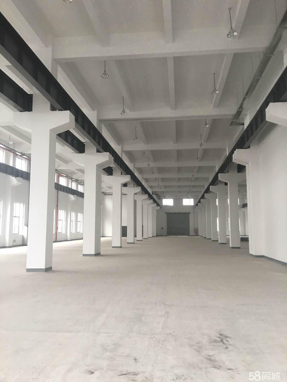 苏州 相城 北桥双层5500平全新标准厂房招租