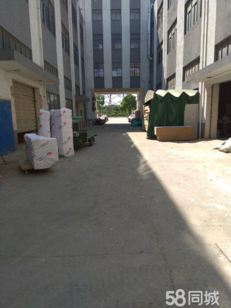 （出售）杨园双证齐全12000平厂房出售