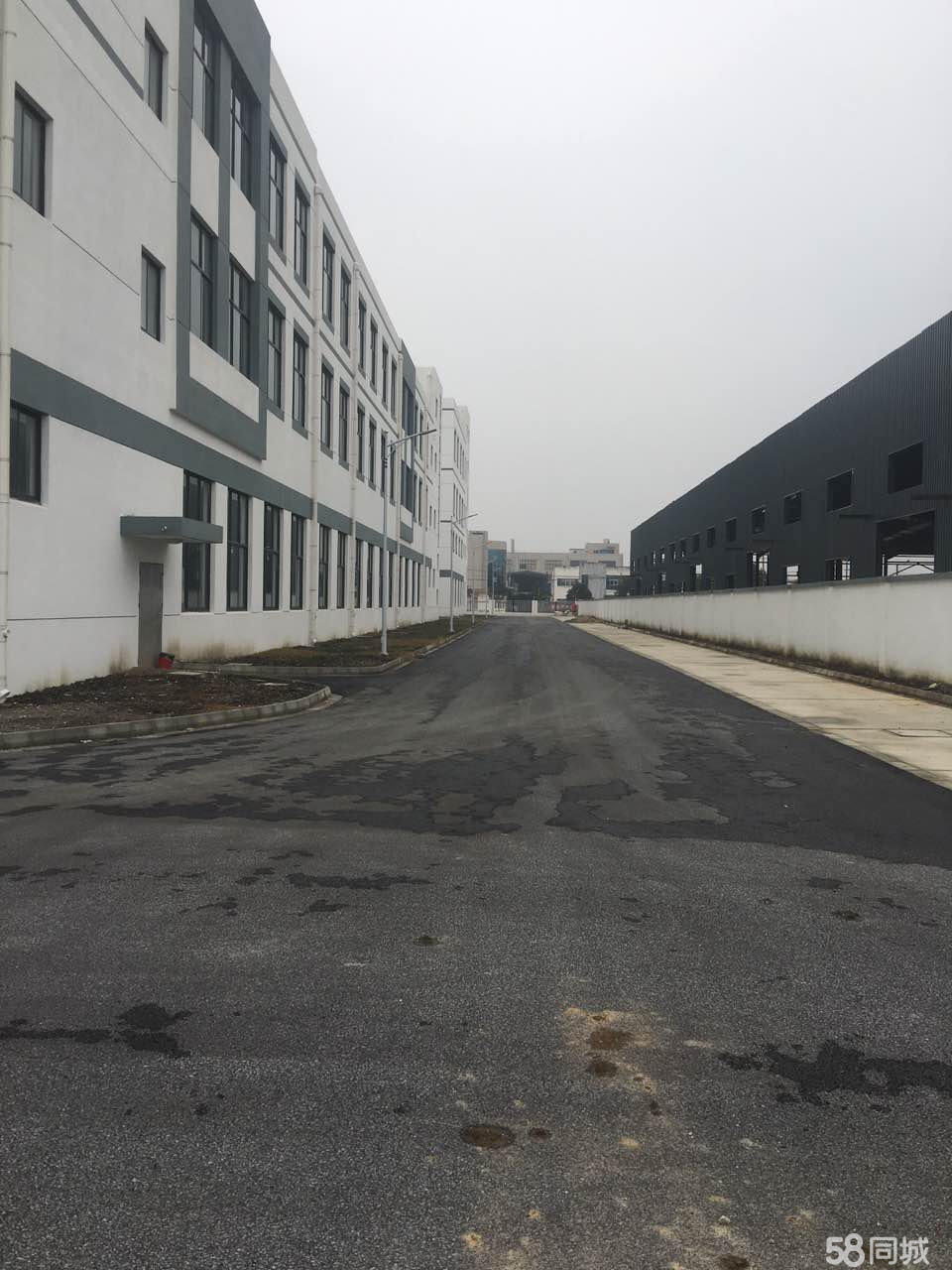 苏州相城 出租500-5000平厂房招租