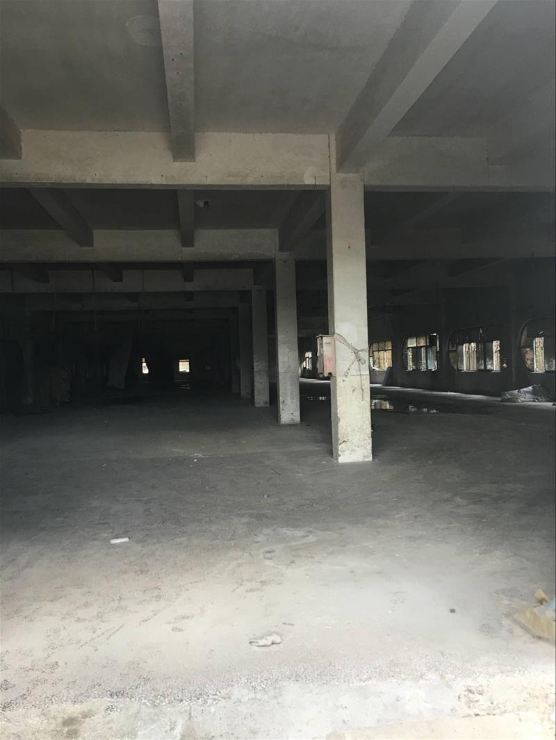 黄埭一楼1400平，标准厂房，交通方便，电够用，位置好