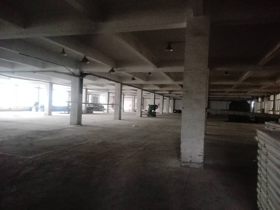 渭塘爱格豪路附近有3000平标准厂房出租