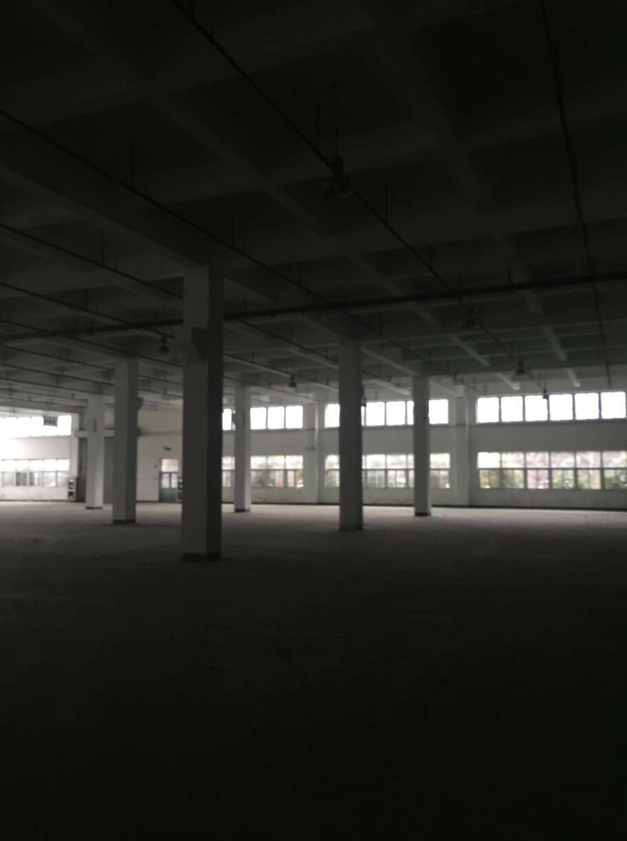 国际物流园，一楼3000平，有卸货平台，货架，诚租