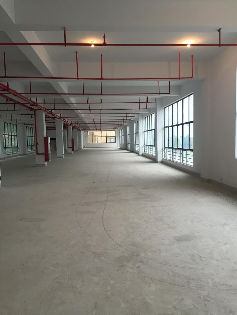 吴中迎春南路两幢标准厂房9000平米可分租