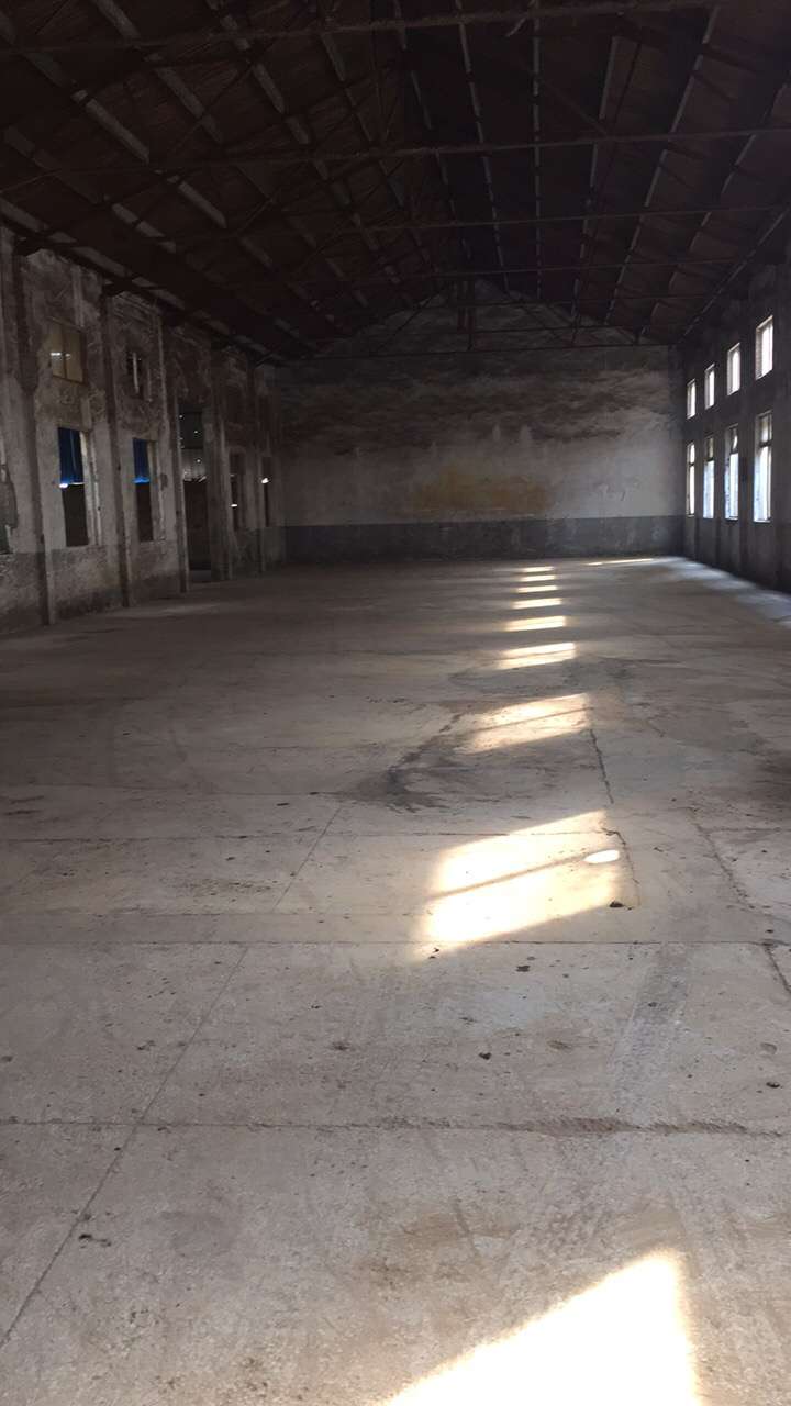 相城北桥有2400平厂房可分租500可做木板