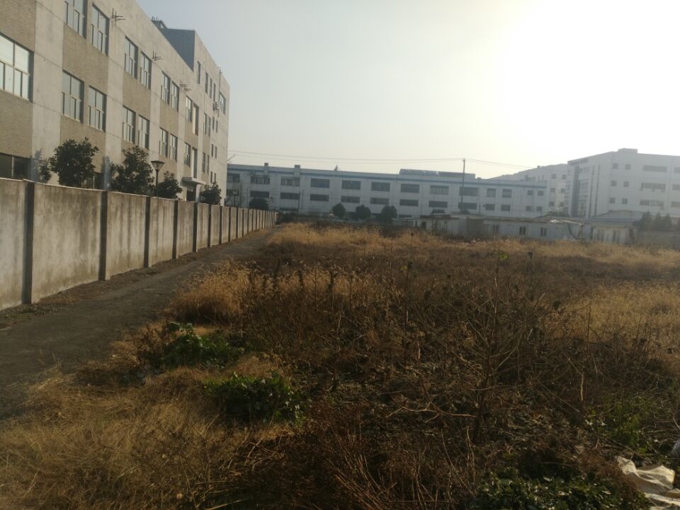 新区，枫桥，5300平空地招租，适合堆放物品