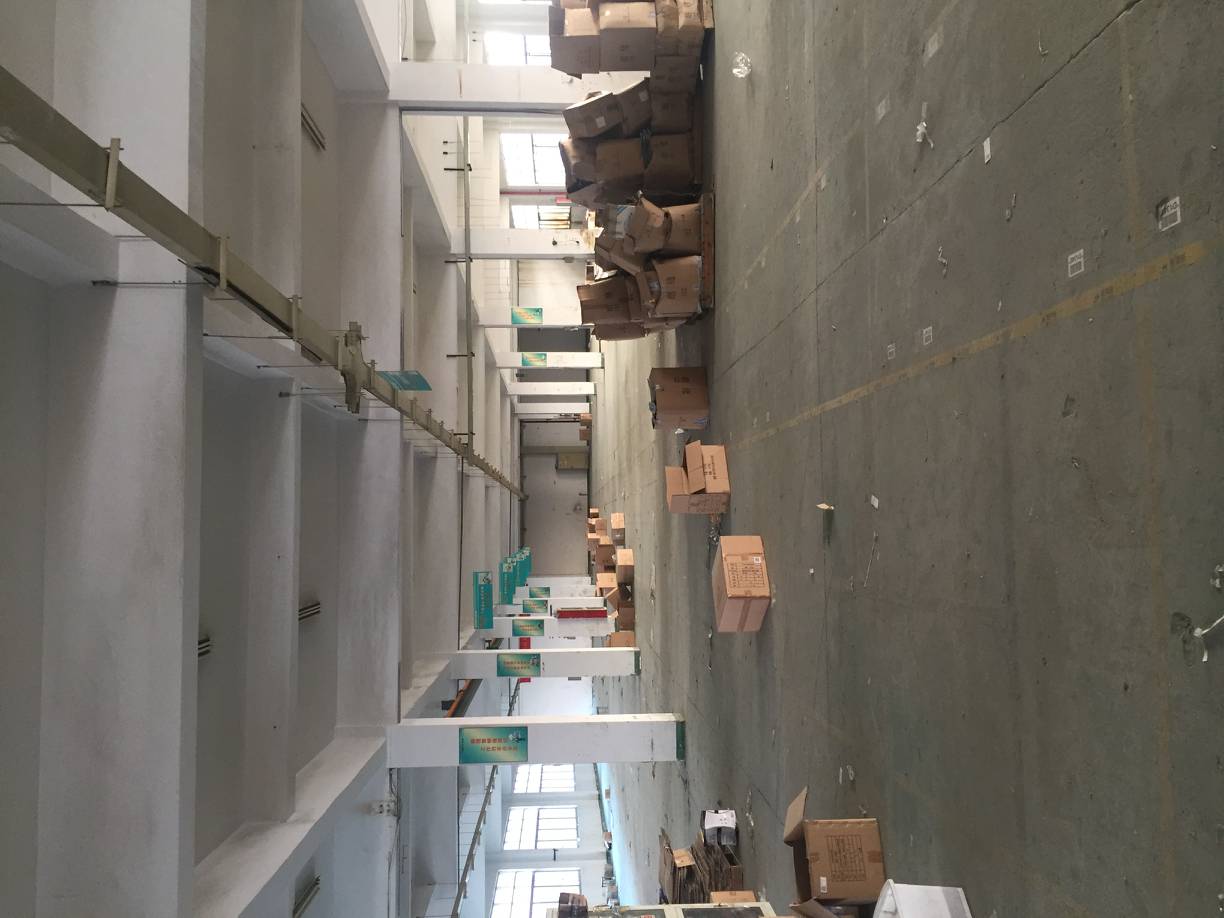 出租新区一楼2000平标准厂房