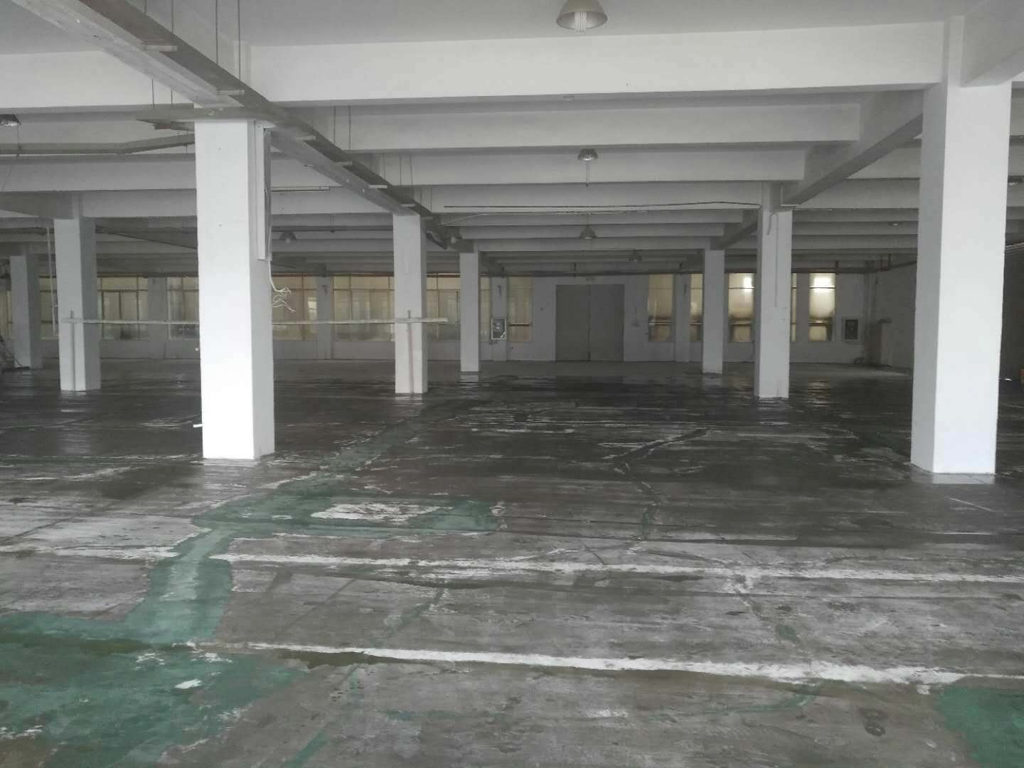 高新区，浒关， 一楼2500平标准厂房招租，可分租，形象好