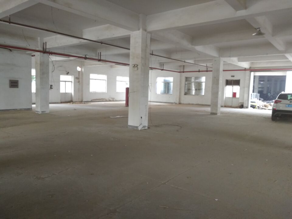 新区，浒关，一楼1000平标准厂房招租