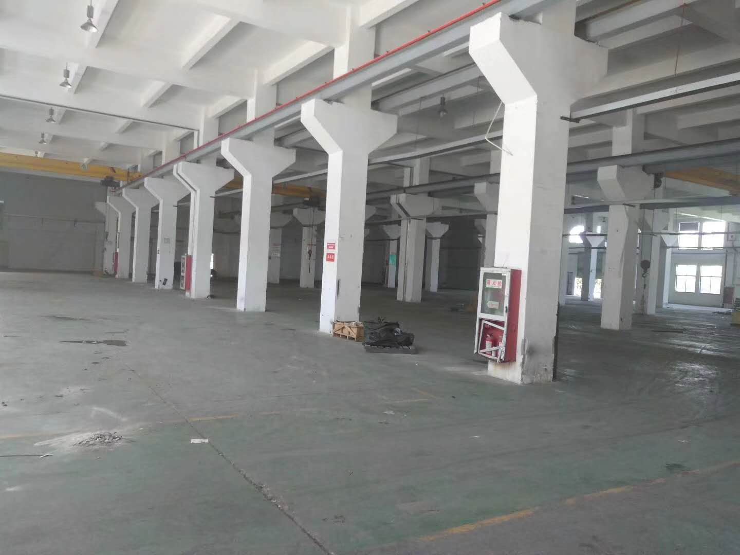 高新区，科技城，一楼1800平厂房，仓库，可分租！