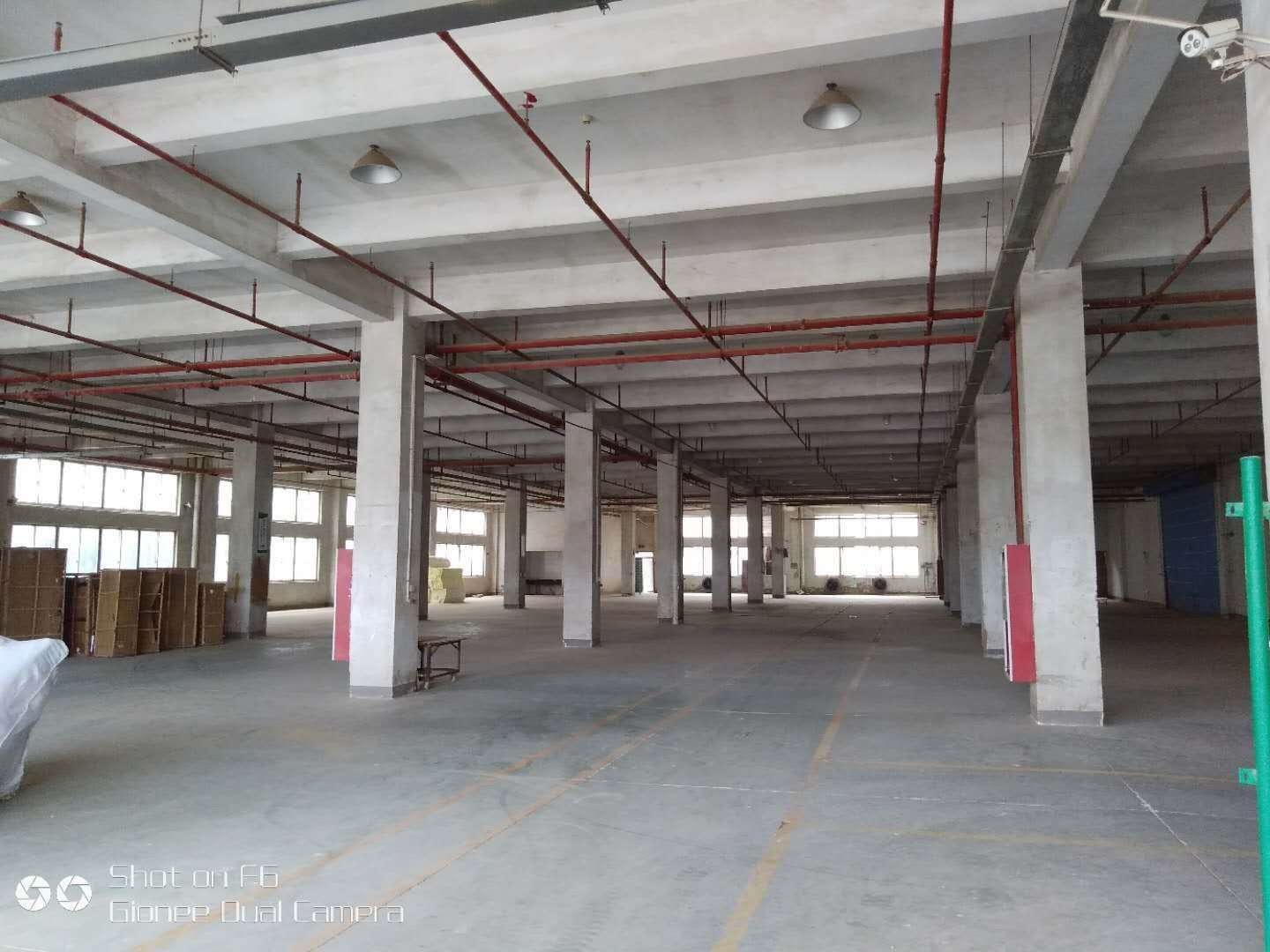 相城大道旁，元和，一楼2500平全新标准厂房，展厅招租，形象好，位置好？？？？？？？