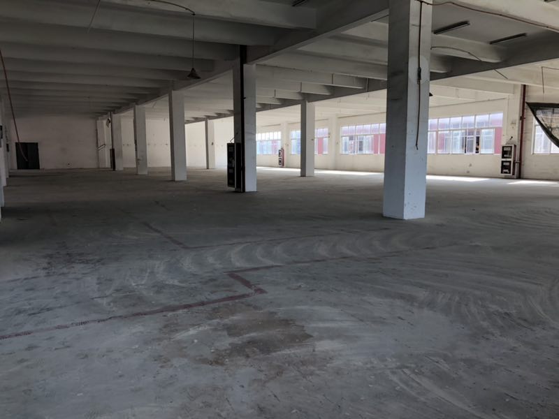 相城区，渭塘，北桥，辛庄大道，一楼标准厂房，除家具外，可做多种行业