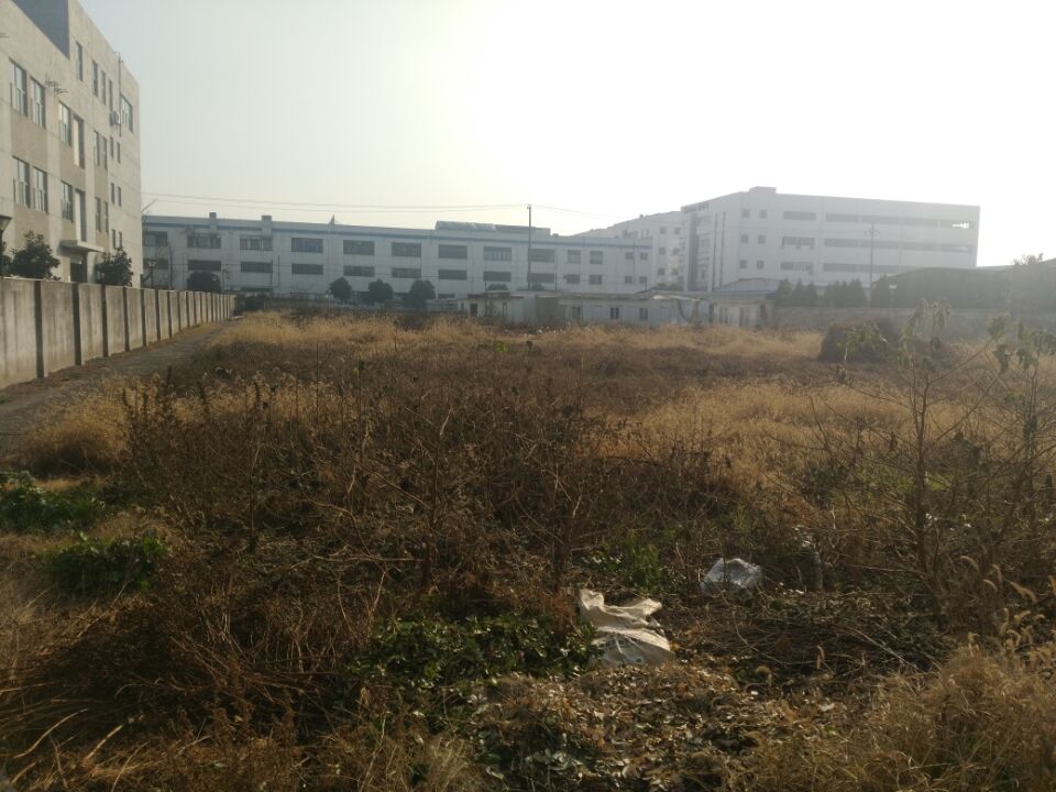 出租，黄埭，东桥，出租10亩空地，适合多种行业，大车好进出！！