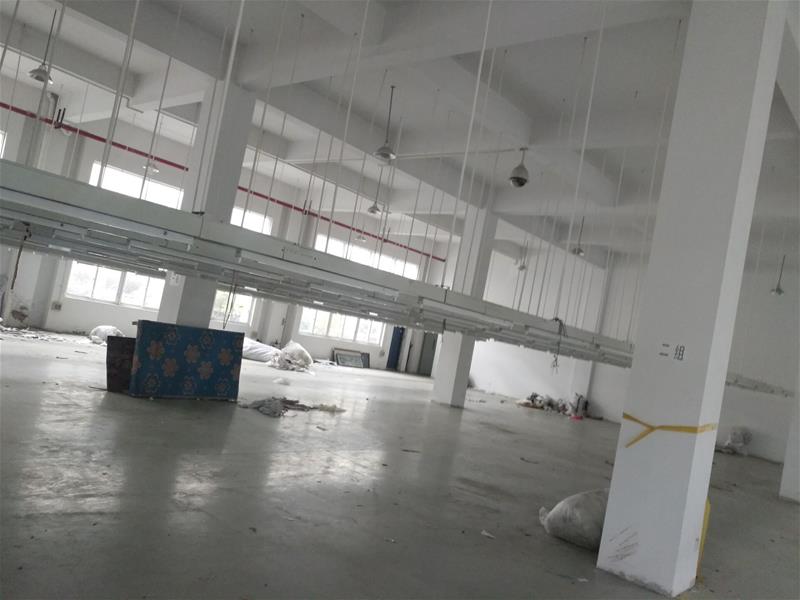 新区通安标准厂房招租，层高5米，形象好，交通方便，适合无污染行业，仓库等
