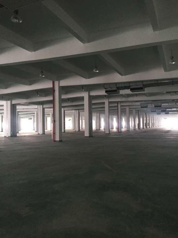 阳澄湖凤阳路一楼标准厂房2500平米车辆方便形象很好