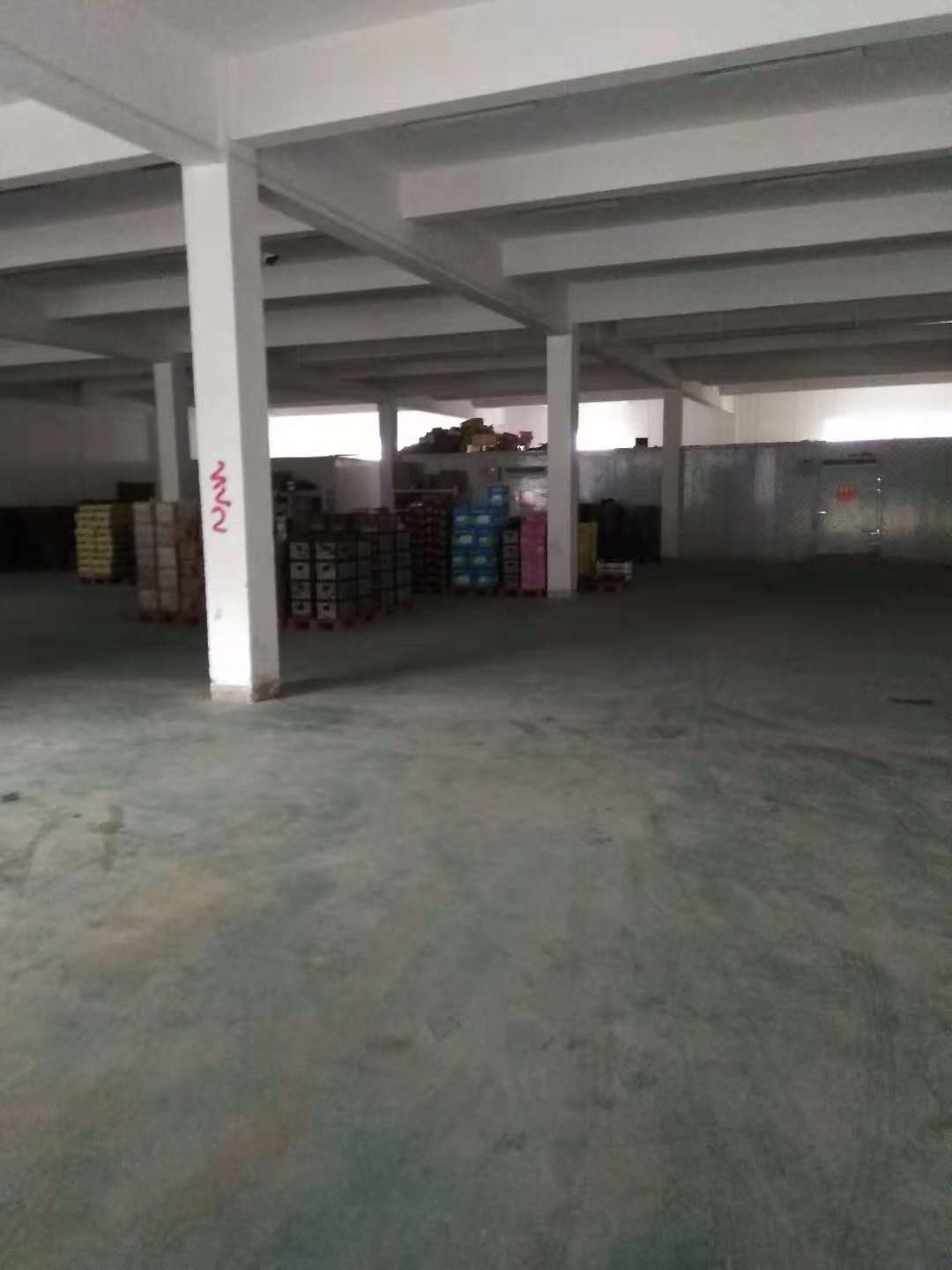 阳澄湖， 一楼1500平标准厂房，带环氧地坪，可分租，高6米