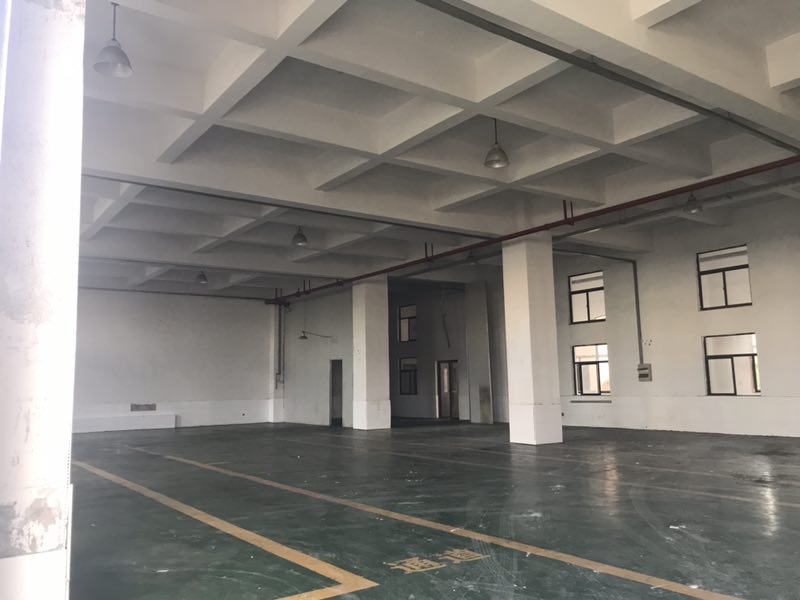 新区马运路附近，交通方便，层高8米，可做生产，加工！